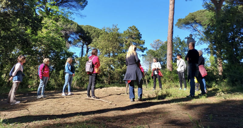 Forest Bathing
